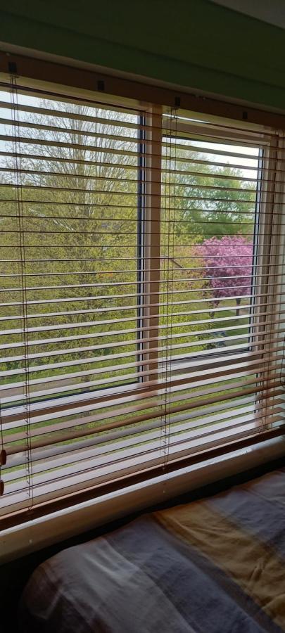 Close To Historic Norwich Bed & Breakfast エクステリア 写真